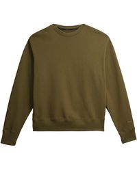 adidas - Pharrell Williams Basics Crew Sweatshirt Cargo" H58308" - Lyst