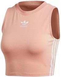 adidas - Originals Crop Tank "Dust" Dx2155" - Lyst