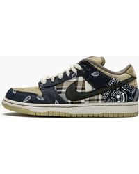 dunks nike sb