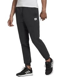 adidas - Brilliant Basics Pants Gd3868" - Lyst