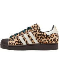 adidas - Superstar Ii "Leopard Dark Ivory" Ki4203" - Lyst