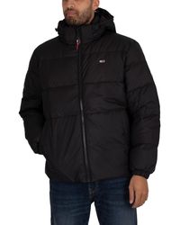 basic down jacket tommy hilfiger