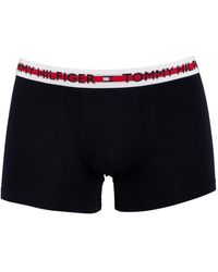 boxer tommy hombre