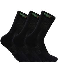 Lacoste - 3 Pack Ankle Socks - Lyst