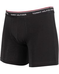 boxer tommy hombre