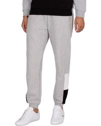 lacoste sweatpants