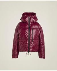 Stella McCartney - Adidas By Padded Winter Jacket - Lyst