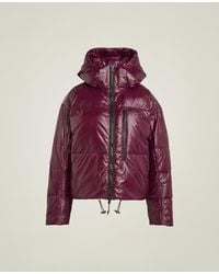 Stella McCartney - Adidas By Padded Winter Jacket - Lyst