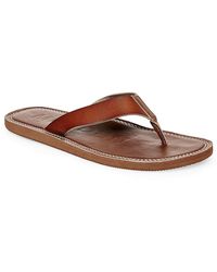 steve madden mens slides