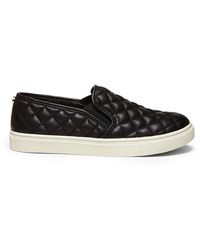 steve madden ecentric