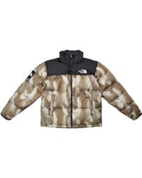 supreme the north face fur print nuptse brown