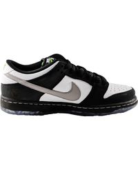 panda pigeon special box