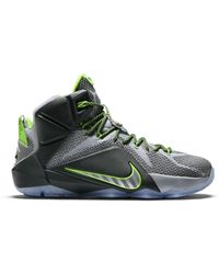 lebron 12 dunk force