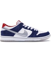 nike sb dunk low ishod wair flat silver
