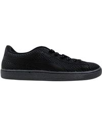 puma suede classic kurim