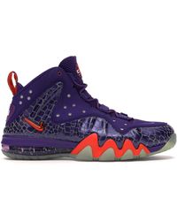 nike Barkley Posite Max Bruin