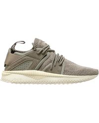 puma tsugi ignite