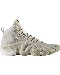 crazy 8 adv pk shoes