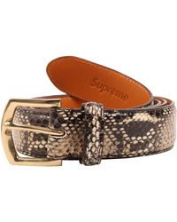 supreme belt price