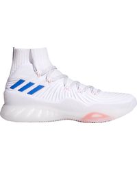 adidas crazy explosive size 14