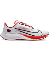 pegasus 35 oregon project
