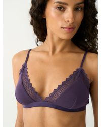 Stripe & Stare - Zigzag Lace Triangle Bra - Lyst