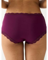 Stripe & Stare - Shortie Knicker - Lyst