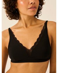 Stripe & Stare - Lace Plunge Bra - Lyst