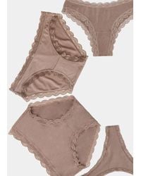 Stripe & Stare - The Discovery Knicker Pack - Lyst