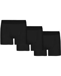 COLORFUL STANDARD - 3 Pack Classic Organic Boxer Briefs - Lyst