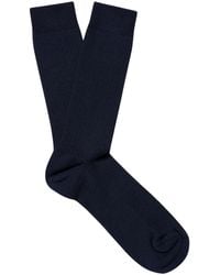 Sunspel - Cotton Ribbed Socks - Lyst