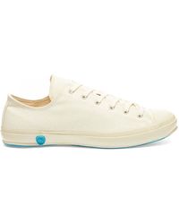 Shoes Like Pottery - 01Jp Low Canvas Sneakers - Lyst