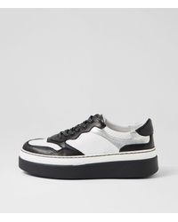 MOLLINI - Aware Mo White Black Leather White Black Sneakers - Lyst
