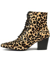 leighton wp boot