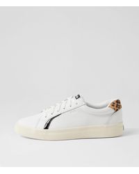 Keds - Pursuit Ke White Leopard Leather White Leopard Sneakers - Lyst