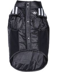 adidas - Padded Pet Vest - Lyst