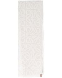 Loewe - Scarf - Lyst