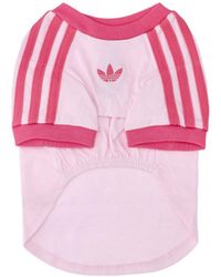 adidas - T-Shirt For Pets "Pet Cali" - Lyst