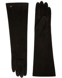 Max Mara - Guanti afideesuede in nappa scamosciata - Lyst