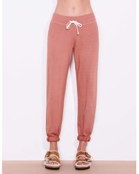 sundry basic sweatpants
