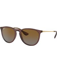 Ray-Ban - Erika Classic Sunglasses Transparent Dark Brown Frame Brown Lenses Polarized 54-18 - Lyst