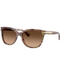 COACH - Hc8132 Sunglasses - Lyst