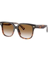 Brunello Cucinelli - Sunglass Bc4010s - Lyst