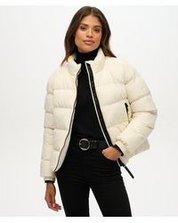 Superdry - & Co Non Hooded Sports Puffer Jacket - Lyst