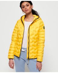 Superdry Chaqueta de plumón Radar - Amarillo