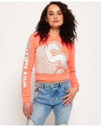 Superdry - Big Crew Neck Sweatshirt Coral - Lyst