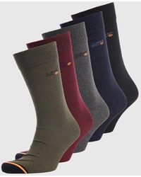 Superdry - 5 Pack Socks Multi Colour - Lyst
