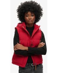 Superdry - Everest Pufferbodywarmer Met Capuchon - Lyst