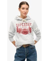 Superdry - & Co Lo-fi Outdoor Graphic Hoodie - Lyst