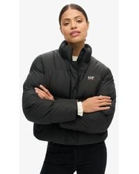 Superdry - & Co Sports Puffer Cropped Jacket - Lyst